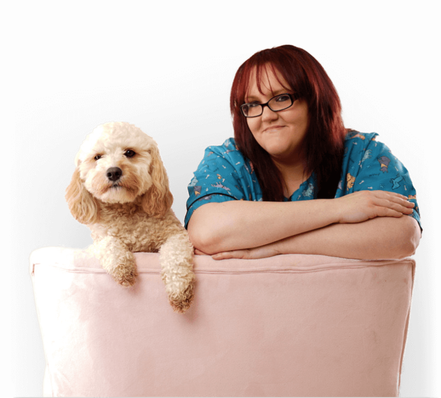 Cat and Dog Grooming Services All Paws Retreat